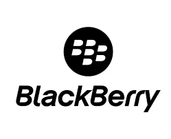 Client 13